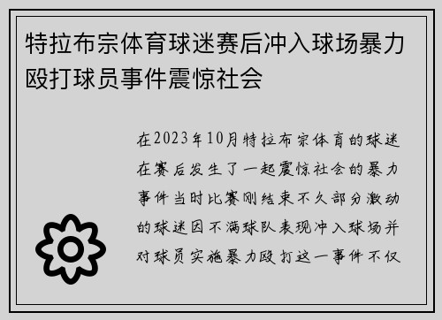 特拉布宗体育球迷赛后冲入球场暴力殴打球员事件震惊社会 特拉布宗体育球迷赛后冲入球场暴力殴打球员事件震惊社会